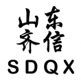 山東齊信安全評價有限公司