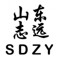 山東志遠(yuǎn)工程咨詢有限公司