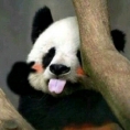 亞洲第一<div id=