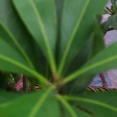 注考通過之后<div   id=