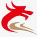 安徽盛唐工程咨詢(xún)集團(tuán)有限公司