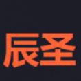 河南辰圣工程管理有限公司